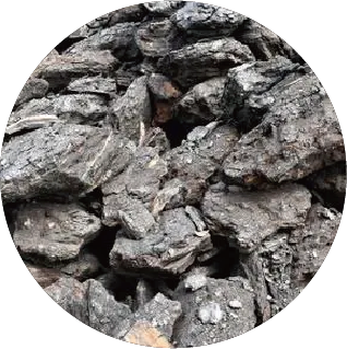 Lignite